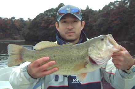 祝☆亀山湖歴代50アップ年間釣獲数新記録